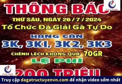 FULL Giải gà Tự Do C3 Campuchia ngày 26/7/2024 ( + video C2).